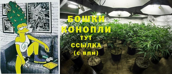 молекула духа Белокуриха